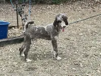 processed/d8816658-f9f2-46eb-8def-06cae2398635/listing/d74a9d03-6328-4fd5-9d59-d5451e595994/f1983f9e-4b7e-4b8f-86a4-978265b097e2