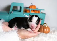 processed/d88d19c5-c1b5-4e2c-baef-1a3b1bf32465/listing/04b3e57a-cd4a-4801-87e0-f939d4c97df2/0192047c-c784-4915-89ea-db3aa68bf423