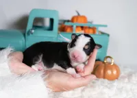 processed/d88d19c5-c1b5-4e2c-baef-1a3b1bf32465/listing/04b3e57a-cd4a-4801-87e0-f939d4c97df2/255816ac-26cb-4af2-b273-cf1e4438ff97