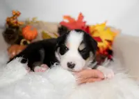 processed/d88d19c5-c1b5-4e2c-baef-1a3b1bf32465/listing/04b3e57a-cd4a-4801-87e0-f939d4c97df2/dd0b6e06-4cab-4300-a41e-1caa0a12360c