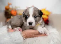 processed/d88d19c5-c1b5-4e2c-baef-1a3b1bf32465/listing/15bb045d-6788-4b6d-bf66-10df84c9bb40/194b0114-fc19-4683-93fc-2016ea6e059f