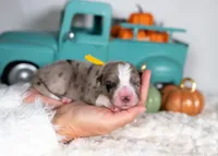 processed/d88d19c5-c1b5-4e2c-baef-1a3b1bf32465/listing/15bb045d-6788-4b6d-bf66-10df84c9bb40/4219f67c-3af9-4a14-91bb-753ce9e515b6