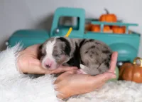 processed/d88d19c5-c1b5-4e2c-baef-1a3b1bf32465/listing/15bb045d-6788-4b6d-bf66-10df84c9bb40/50acaa1b-105f-4209-a654-8c1459a7cce7