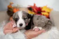 processed/d88d19c5-c1b5-4e2c-baef-1a3b1bf32465/listing/15bb045d-6788-4b6d-bf66-10df84c9bb40/76a18561-6120-4853-ad99-6a7bc9f37de7