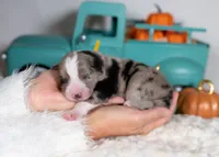 processed/d88d19c5-c1b5-4e2c-baef-1a3b1bf32465/listing/15bb045d-6788-4b6d-bf66-10df84c9bb40/86f7f86d-647b-480d-96a0-52a1f8b32aa9