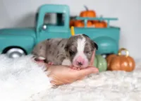 processed/d88d19c5-c1b5-4e2c-baef-1a3b1bf32465/listing/15bb045d-6788-4b6d-bf66-10df84c9bb40/df76e454-4883-4db9-b0e6-b62673d166c7