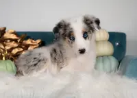 processed/d88d19c5-c1b5-4e2c-baef-1a3b1bf32465/listing/2e5d4557-0e71-4f53-87d4-9abc5c25e682/12d6d5d3-d104-40cd-a8d0-de0acaff12ab