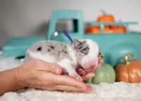 processed/d88d19c5-c1b5-4e2c-baef-1a3b1bf32465/listing/2e5d4557-0e71-4f53-87d4-9abc5c25e682/17235385-bf3b-4cb4-b4e9-4857c0290451