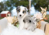 processed/d88d19c5-c1b5-4e2c-baef-1a3b1bf32465/listing/2e5d4557-0e71-4f53-87d4-9abc5c25e682/50fd3bc9-6ab0-4296-981b-b9ea5a2d4cf7