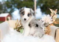 processed/d88d19c5-c1b5-4e2c-baef-1a3b1bf32465/listing/2e5d4557-0e71-4f53-87d4-9abc5c25e682/78bc559f-a9c2-479e-ab50-0b212b6682d2