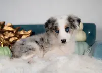 processed/d88d19c5-c1b5-4e2c-baef-1a3b1bf32465/listing/2e5d4557-0e71-4f53-87d4-9abc5c25e682/a6f47489-c4cf-4fdf-b8a9-4489fc4a0ed7