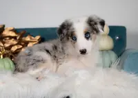 processed/d88d19c5-c1b5-4e2c-baef-1a3b1bf32465/listing/2e5d4557-0e71-4f53-87d4-9abc5c25e682/c6c17a00-1a7b-42da-81c2-0eb795225649