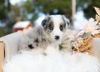 processed/d88d19c5-c1b5-4e2c-baef-1a3b1bf32465/listing/2e5d4557-0e71-4f53-87d4-9abc5c25e682/c8749fe4-7728-42ff-8b98-967f0ddb6903