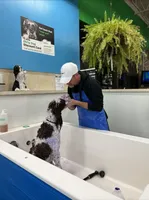 processed/d88d19c5-c1b5-4e2c-baef-1a3b1bf32465/listing/3395152a-970d-4baf-a235-0fdd0e1608ae/0212d18b-86e8-424a-b3fb-85feab706db3