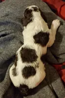 processed/d88d19c5-c1b5-4e2c-baef-1a3b1bf32465/listing/3395152a-970d-4baf-a235-0fdd0e1608ae/13b0328c-0062-4324-886e-3674f2a469b0