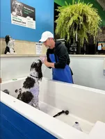 processed/d88d19c5-c1b5-4e2c-baef-1a3b1bf32465/listing/3395152a-970d-4baf-a235-0fdd0e1608ae/14b5fa04-257a-45af-b8a8-c1e0f36a88fe