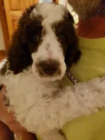 processed/d88d19c5-c1b5-4e2c-baef-1a3b1bf32465/listing/3395152a-970d-4baf-a235-0fdd0e1608ae/6df18dd2-c367-4e24-99af-b69a5e364f04