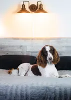 processed/d88d19c5-c1b5-4e2c-baef-1a3b1bf32465/listing/3395152a-970d-4baf-a235-0fdd0e1608ae/87c15656-9601-4ad3-9667-8e60ad4a825d