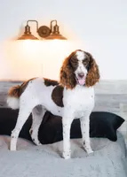 processed/d88d19c5-c1b5-4e2c-baef-1a3b1bf32465/listing/3395152a-970d-4baf-a235-0fdd0e1608ae/ad30e17e-fc9c-4690-870d-a931d2c7367c