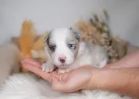 processed/d88d19c5-c1b5-4e2c-baef-1a3b1bf32465/listing/451ea963-947f-4d94-aaae-a22220b2d6b8/0c7aa4f5-8b7e-4ea1-9cee-42e1395d42e6