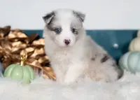 processed/d88d19c5-c1b5-4e2c-baef-1a3b1bf32465/listing/451ea963-947f-4d94-aaae-a22220b2d6b8/906e3392-d1e4-4319-9316-2b60a8a3feb2