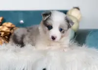 processed/d88d19c5-c1b5-4e2c-baef-1a3b1bf32465/listing/451ea963-947f-4d94-aaae-a22220b2d6b8/cc5695a7-89a6-4b8b-abab-a515b6bc2aeb