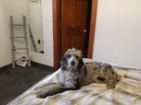 processed/d88d19c5-c1b5-4e2c-baef-1a3b1bf32465/listing/4ce1c8e1-ae38-4092-b7e4-9a731b81db19/0fd532df-44d3-4a99-9f29-355737f8d777