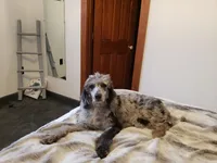 processed/d88d19c5-c1b5-4e2c-baef-1a3b1bf32465/listing/4ce1c8e1-ae38-4092-b7e4-9a731b81db19/36c44a2d-865c-44be-ab71-7ee7f170c0c9