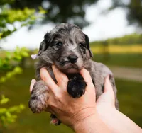 processed/d88d19c5-c1b5-4e2c-baef-1a3b1bf32465/listing/4ce1c8e1-ae38-4092-b7e4-9a731b81db19/c8f768ae-c1e3-4b66-a263-7b1979daffb4