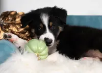 processed/d88d19c5-c1b5-4e2c-baef-1a3b1bf32465/listing/799d62ca-a773-40ab-8d20-e53f6595ac23/89967333-a0f1-49fe-93a3-b398a3569843