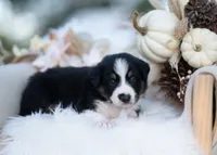 processed/d88d19c5-c1b5-4e2c-baef-1a3b1bf32465/listing/799d62ca-a773-40ab-8d20-e53f6595ac23/e0022b5b-daf3-4ee6-924c-b4fb790cad3a