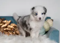 processed/d88d19c5-c1b5-4e2c-baef-1a3b1bf32465/listing/8880b577-b731-4e6f-a383-4b21845c0e9a/18473c2a-e4af-4218-8cff-75bc359fe9f3