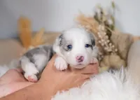 processed/d88d19c5-c1b5-4e2c-baef-1a3b1bf32465/listing/8880b577-b731-4e6f-a383-4b21845c0e9a/2e308816-d87a-4c01-ab68-2ee2b9850254