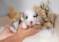 processed/d88d19c5-c1b5-4e2c-baef-1a3b1bf32465/listing/8880b577-b731-4e6f-a383-4b21845c0e9a/6c3b1ec6-ee14-4b88-a19f-54a6438fcc04