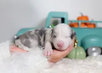 processed/d88d19c5-c1b5-4e2c-baef-1a3b1bf32465/listing/8880b577-b731-4e6f-a383-4b21845c0e9a/7299c464-624c-4b2e-9e50-98d71aa3f01f