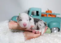 processed/d88d19c5-c1b5-4e2c-baef-1a3b1bf32465/listing/8880b577-b731-4e6f-a383-4b21845c0e9a/a5b36778-fd5c-4330-967c-272876cf2162