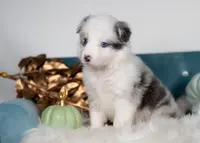 processed/d88d19c5-c1b5-4e2c-baef-1a3b1bf32465/listing/8880b577-b731-4e6f-a383-4b21845c0e9a/ac3954ec-7835-4de6-bb25-46d8d5eae124