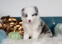 processed/d88d19c5-c1b5-4e2c-baef-1a3b1bf32465/listing/8880b577-b731-4e6f-a383-4b21845c0e9a/c5f2fd4d-6bbf-4db3-b321-ae6130fe501e