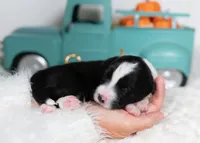 processed/d88d19c5-c1b5-4e2c-baef-1a3b1bf32465/listing/936b5735-0272-416e-a935-4b01bdec52d1/0f3c9eea-56d7-42a6-aa42-ab566f7d25a4