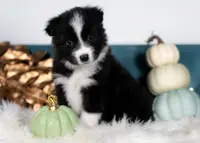 processed/d88d19c5-c1b5-4e2c-baef-1a3b1bf32465/listing/936b5735-0272-416e-a935-4b01bdec52d1/5407acc4-7795-434f-aed8-950d9fb6c2a2