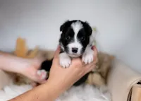 processed/d88d19c5-c1b5-4e2c-baef-1a3b1bf32465/listing/936b5735-0272-416e-a935-4b01bdec52d1/681c3055-0837-4ab1-acd9-a1af49e5c292