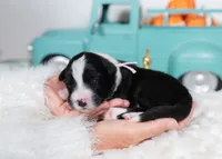 processed/d88d19c5-c1b5-4e2c-baef-1a3b1bf32465/listing/936b5735-0272-416e-a935-4b01bdec52d1/a5d7e777-0f5e-4f5c-820e-7a29a60ca02c