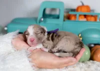 processed/d88d19c5-c1b5-4e2c-baef-1a3b1bf32465/listing/a439d9cc-0599-4c9b-805c-27ba493bbf8f/73732d49-37bc-4b97-97b9-d8b0164d80fb