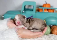 processed/d88d19c5-c1b5-4e2c-baef-1a3b1bf32465/listing/a439d9cc-0599-4c9b-805c-27ba493bbf8f/8c97b953-458c-4f7a-af2b-19abc6d84e1d