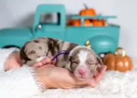 processed/d88d19c5-c1b5-4e2c-baef-1a3b1bf32465/listing/a439d9cc-0599-4c9b-805c-27ba493bbf8f/b202451a-f8aa-4ea5-a5a5-9c4cab811680