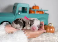 processed/d88d19c5-c1b5-4e2c-baef-1a3b1bf32465/listing/a4ed1d05-5d94-491c-8735-2e69c06958fa/77a54902-45a1-4450-aa7d-9d1a6beed2b5