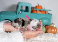 processed/d88d19c5-c1b5-4e2c-baef-1a3b1bf32465/listing/a4ed1d05-5d94-491c-8735-2e69c06958fa/d486aa01-9eb2-4c65-83ab-55fb243e2b4e