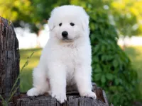 processed/d88d19c5-c1b5-4e2c-baef-1a3b1bf32465/listing/ad6df6c7-9ac1-473f-a959-9b5e4889c85b/024976c6-6830-40b3-88c9-293190a0c354