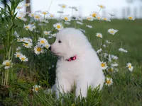 processed/d88d19c5-c1b5-4e2c-baef-1a3b1bf32465/listing/ad6df6c7-9ac1-473f-a959-9b5e4889c85b/51c307de-eceb-4252-9263-e8d8d0900c23