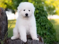 processed/d88d19c5-c1b5-4e2c-baef-1a3b1bf32465/listing/ad6df6c7-9ac1-473f-a959-9b5e4889c85b/848af97d-7f7d-4a76-985a-d94758a9c3f0